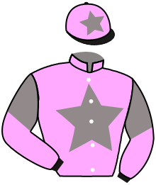 casaque portée par Smeulders C. jockey du cheval de course MAVERICK LADY, information pmu ZETURF