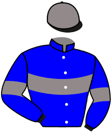 casaque portée par Gavilan Ale. jockey du cheval de course LINGOT D'ARGENT, information pmu ZETURF