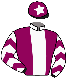 casaque portée par Eyquem Jb. jockey du cheval de course HALANDJILA, information pmu ZETURF