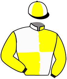 casaque portée par Guedj-gay G. jockey du cheval de course BLUE SEABIRD, information pmu ZETURF