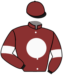 casaque portée par Boutin Hug. jockey du cheval de course L'ARGENT, information pmu ZETURF