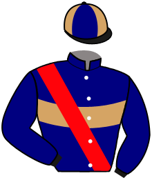 casaque portée par Bachelot T. jockey du cheval de course KING OF CHILL, information pmu ZETURF
