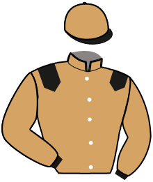 casaque portée par Zeeshaan Sahebjan Moh. jockey du cheval de course MARTIN SPIRIT, information pmu ZETURF