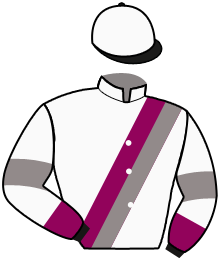 casaque portée par Abrivard L. jockey du cheval de course DALI' DEL RONCO, information pmu ZETURF