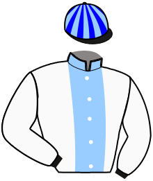 casaque portée par Pezzatini R. jockey du cheval de course CITY LUX, information pmu ZETURF