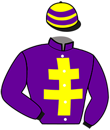 casaque portée par Foucault V. jockey du cheval de course IERONTO, information pmu ZETURF