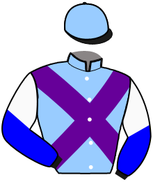 casaque portée par Guzzinati A. jockey du cheval de course DYNAMITE BAR, information pmu ZETURF