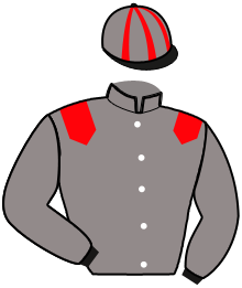 casaque portée par Devienne K. jockey du cheval de course HAPPY VENUS, information pmu ZETURF