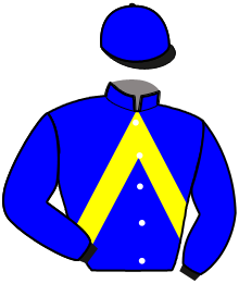 casaque portée par Le Moel Pie. jockey du cheval de course DUBLIN FI, information pmu ZETURF