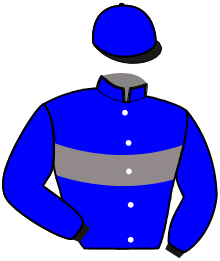 casaque portée par Goetz B. jockey du cheval de course JASPERS TURGOT, information pmu ZETURF