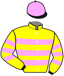 casaque portée par Van Den Troost Mme A. jockey du cheval de course SAGA TIMGAD, information pmu ZETURF