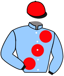 casaque portée par Lefebvre F. jockey du cheval de course FIRE REBEL, information pmu ZETURF