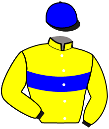 casaque portée par Ploquin Pau. Ph. jockey du cheval de course KELLY DE BANVILLE, information pmu ZETURF