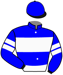 casaque portée par Abrivard M. jockey du cheval de course NANNY'S GIRL, information pmu ZETURF