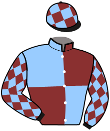 casaque portée par Barcelo Bisquerra Miq. J. jockey du cheval de course IDOCTRO DE HOUELLE, information pmu ZETURF
