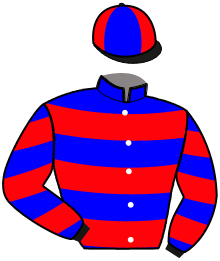 casaque portée par De Jesus Est. jockey du cheval de course HAPPYDAY VERDIERES, information pmu ZETURF