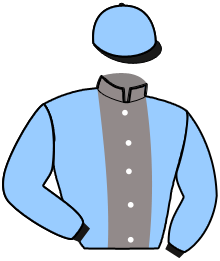 casaque portée par Herard J. jockey du cheval de course HATTILA, information pmu ZETURF