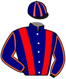 casaque portée par Westenbrink J. jockey du cheval de course LORETTA WELL, information pmu ZETURF