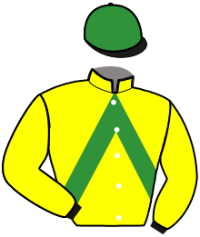 casaque portée par Hanot F. jockey du cheval de course LINO DU BIRKWALD, information pmu ZETURF