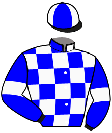 casaque portée par Castel P. jockey du cheval de course LOUIS DE MAJEBA, information pmu ZETURF