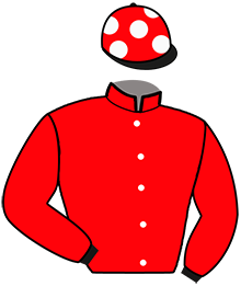 casaque portée par Calo T. jockey du cheval de course LOUPIOT CASTELETS, information pmu ZETURF