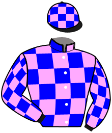 casaque portée par De Meyer Mme M. jockey du cheval de course JUST DU CHATELET, information pmu ZETURF
