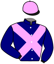 casaque portée par Lebey B. jockey du cheval de course HALLO DE CRENNES, information pmu ZETURF