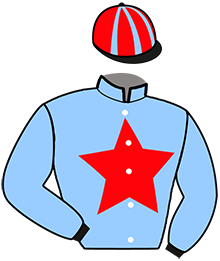 casaque portée par Renaudin Mlle A. jockey du cheval de course IDYLLIC DREAM, information pmu ZETURF