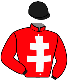 casaque portée par Descamps Jea. Y. jockey du cheval de course IMEA DE LA POTEL, information pmu ZETURF