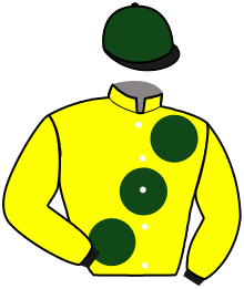 casaque portée par Non Partant jockey du cheval de course FIRST CREATION, information pmu ZETURF