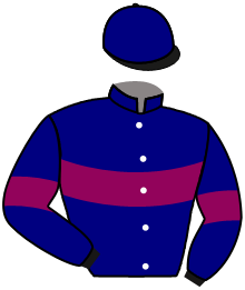 casaque portée par Lebouc Hug. jockey du cheval de course BEST DANCE, information pmu ZETURF