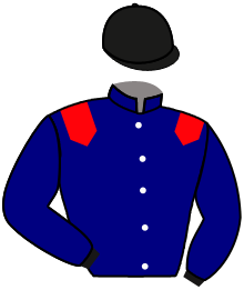 casaque portée par Zuliani A. jockey du cheval de course MILLE ET UNE VIES, information pmu ZETURF