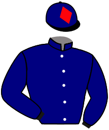 casaque portée par Reveley J. jockey du cheval de course THE MIGHTY CELT, information pmu ZETURF