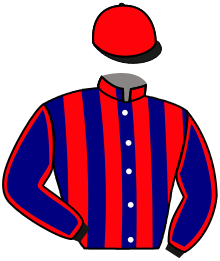 casaque portée par Renard A. jockey du cheval de course CHAMPLATREUX, information pmu ZETURF