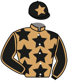 casaque portée par Brechet Léo P. jockey du cheval de course HAPPYDAY, information pmu ZETURF