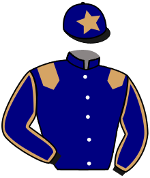 casaque portée par Vandamme Luc. jockey du cheval de course MELLE APRIL, information pmu ZETURF