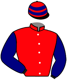 casaque portée par Blais Adr. jockey du cheval de course PAU CLERMONT, information pmu ZETURF