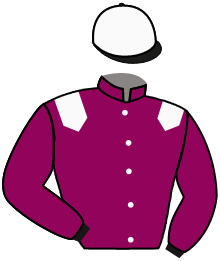 casaque portée par Carre Dor. jockey du cheval de course VINYANN ST LAURENT, information pmu ZETURF
