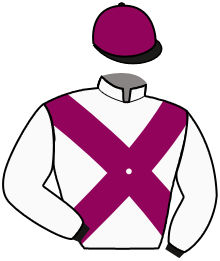 casaque portée par Vandamme Luc. jockey du cheval de course SAINT MARK, information pmu ZETURF
