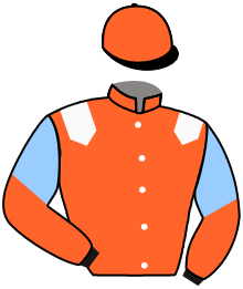 casaque portée par Vandamme Luc. jockey du cheval de course BON CONSEIL, information pmu ZETURF