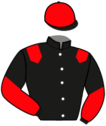 casaque portée par Voisin A. jockey du cheval de course KELLE MAJYC, information pmu ZETURF
