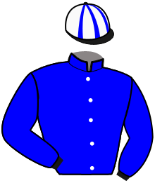 casaque portée par Andre A. jockey du cheval de course KALIMERO VICI, information pmu ZETURF