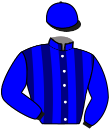 casaque portée par Tugend G. jockey du cheval de course ICARE ELJI, information pmu ZETURF