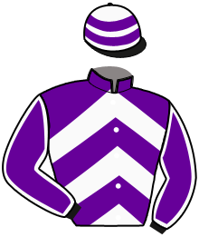 casaque portée par Touron Herry Mlle A. jockey du cheval de course INEDIT D'ALEX, information pmu ZETURF