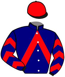 casaque portée par Avoine Mlle F. jockey du cheval de course HAPPY DES ILES, information pmu ZETURF
