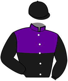 casaque portée par Barthelemy D. jockey du cheval de course INTACT DU TERTRE, information pmu ZETURF