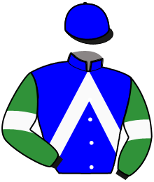 casaque portée par Castel P. jockey du cheval de course JAGGER D'AUT, information pmu ZETURF