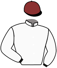 casaque portée par Baron Axe. jockey du cheval de course BEL ET BIEN, information pmu ZETURF