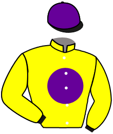 casaque portée par Boisseau L. jockey du cheval de course KLIFF BERE, information pmu ZETURF