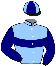 casaque portée par Mcmonagle D. B. jockey du cheval de course AL RIFFA, information pmu ZETURF